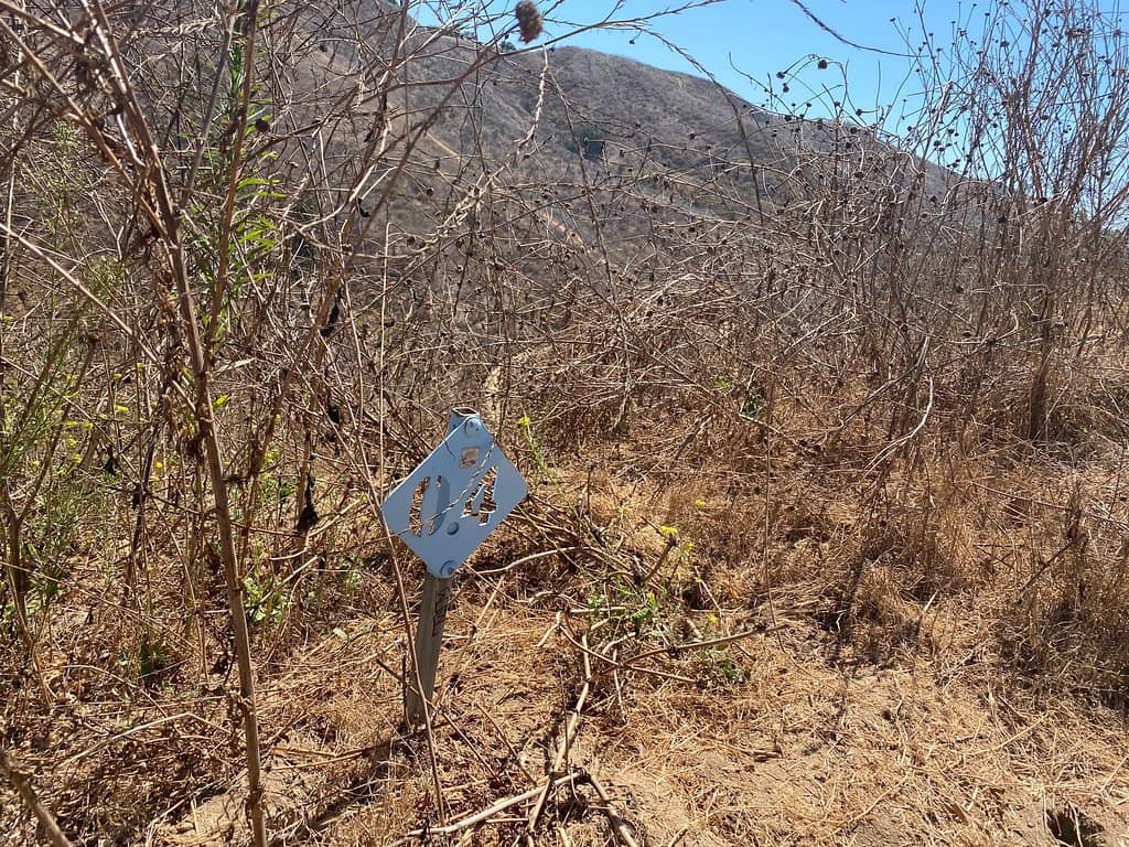 Diverse Hiking Trails