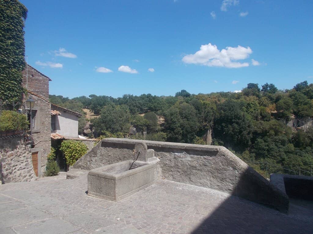 Vertical photo