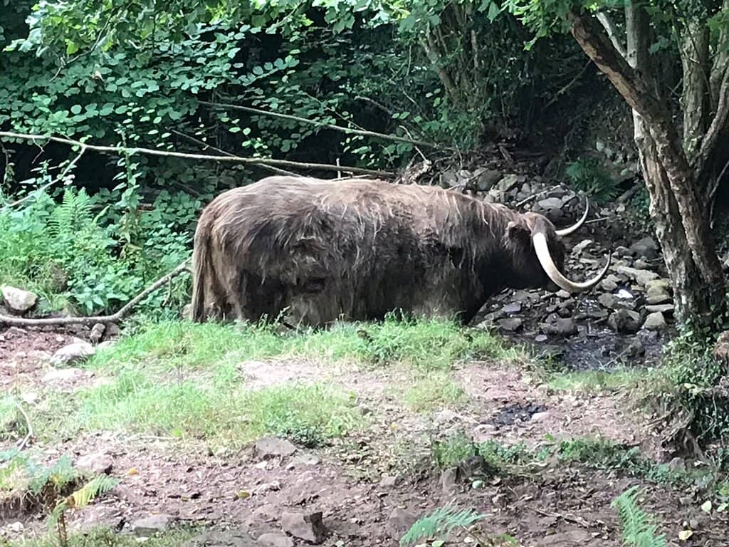 Scenic Walking Routes