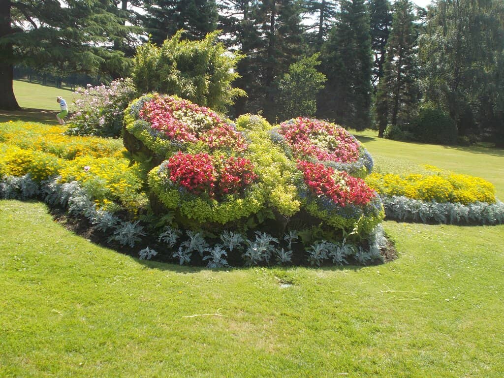 Nelson's Tower Views