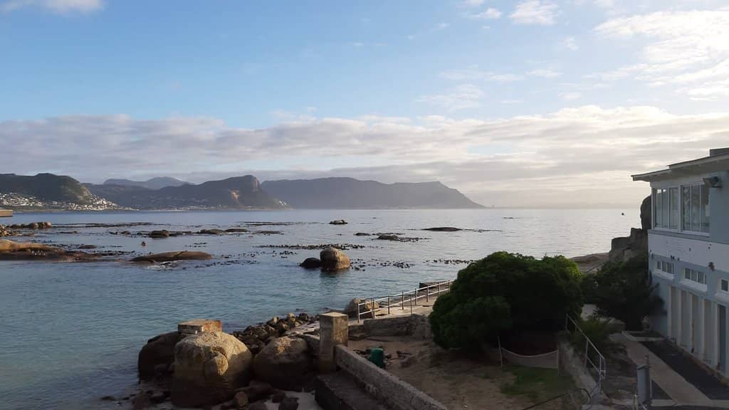 Fresh Seafood Delights