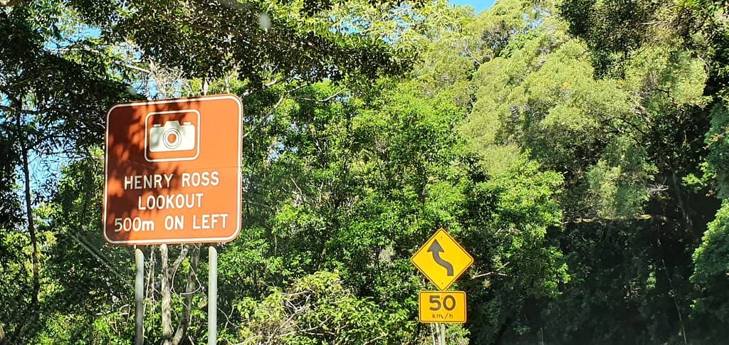 Rainforest Canopy Views