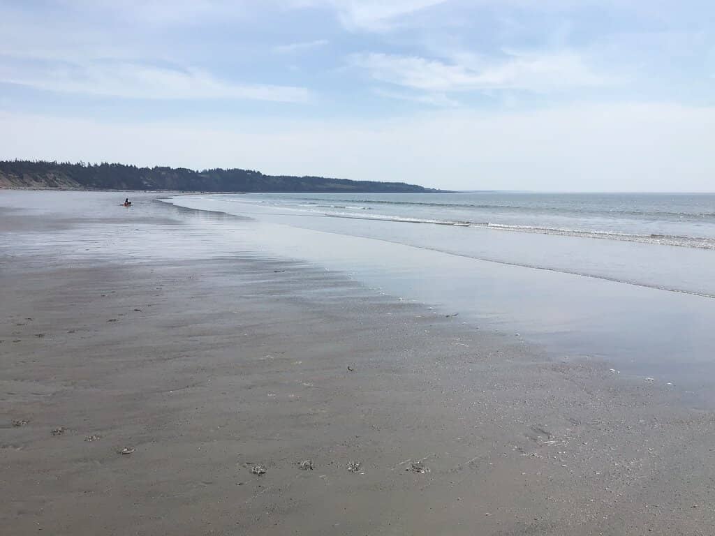 Tide Pool Exploration