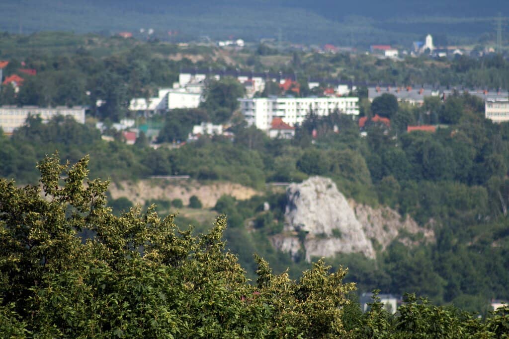 Pallottine Fathers Church
