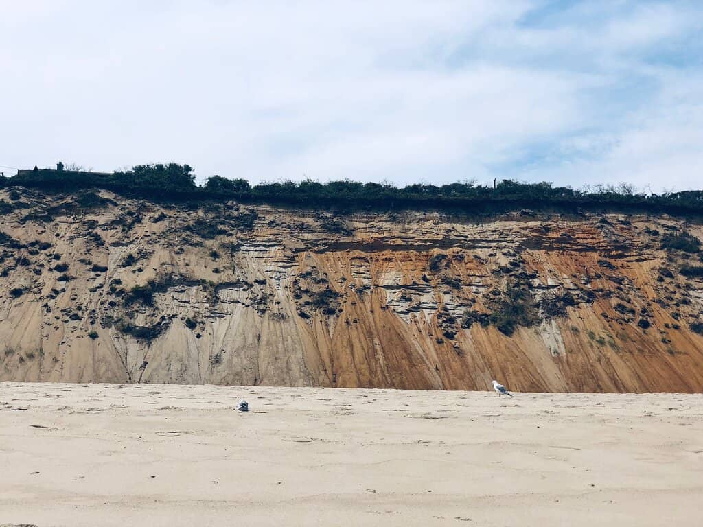 Vertical photo
