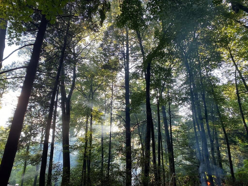 Unique 'Concrete Pond'