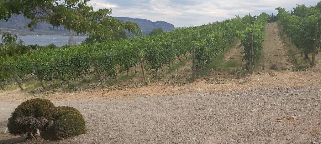 Engaging Tasting Experience