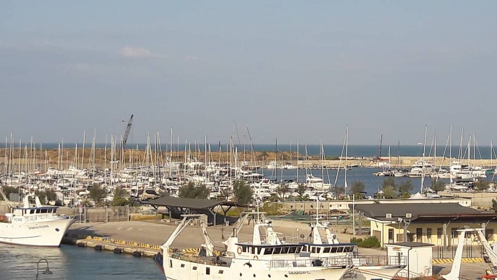 Summer Festivals & Concerts