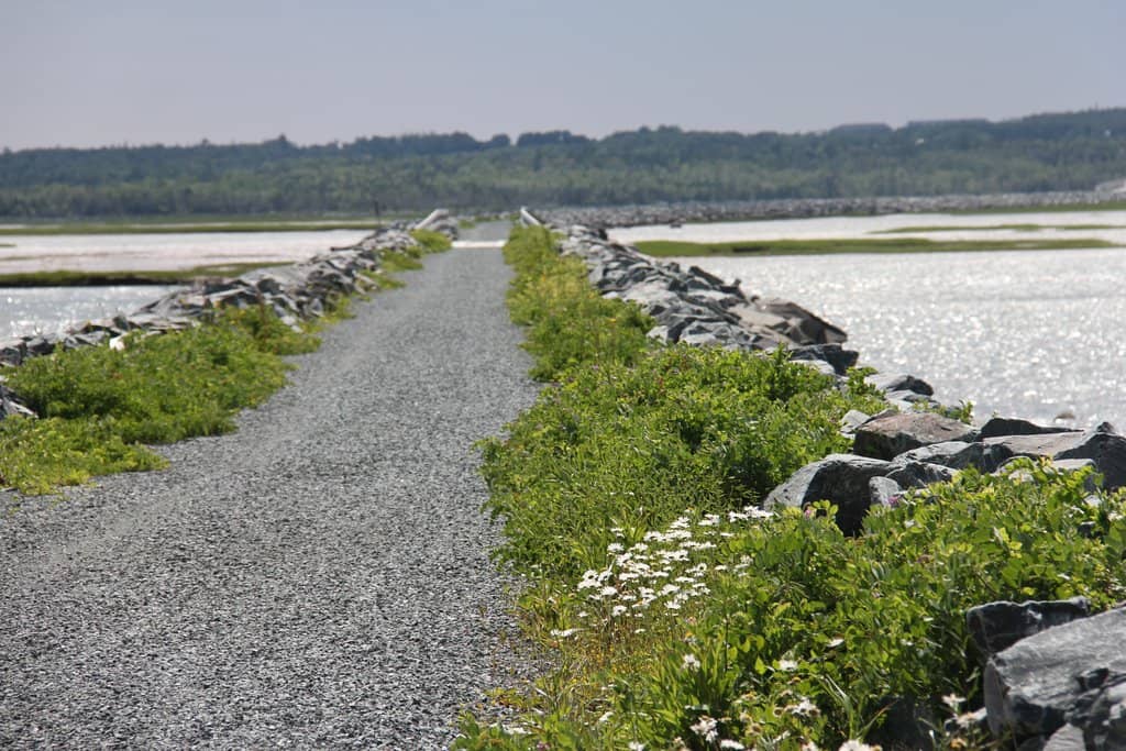 Abandoned Railroad Path
