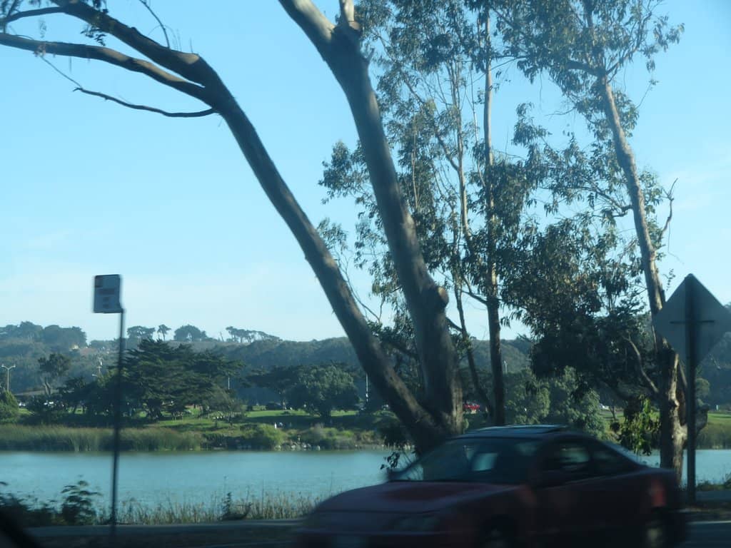Lake Merced Park