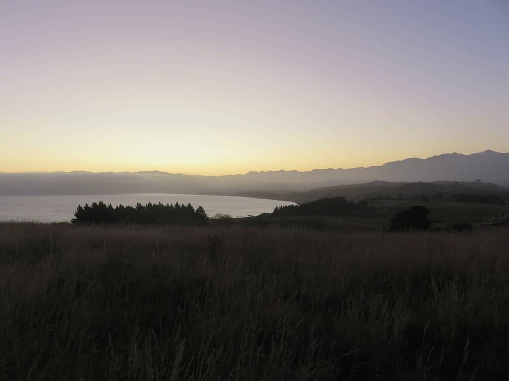 Dual Peninsula Vistas