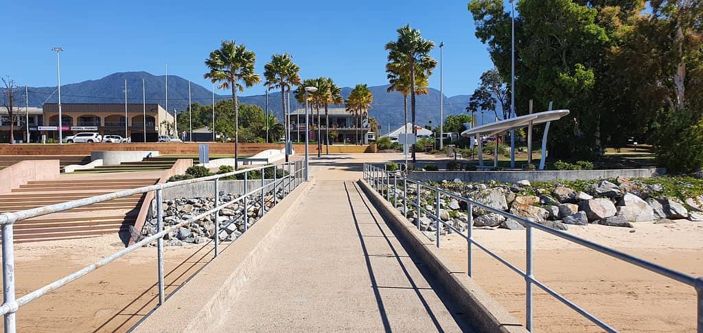 Marine Life Encounters