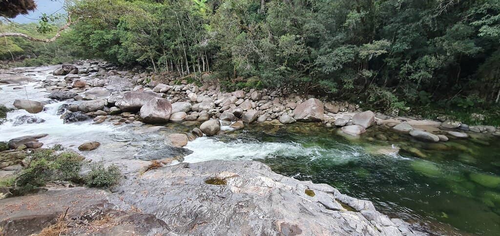 Rainforest Circuit Track