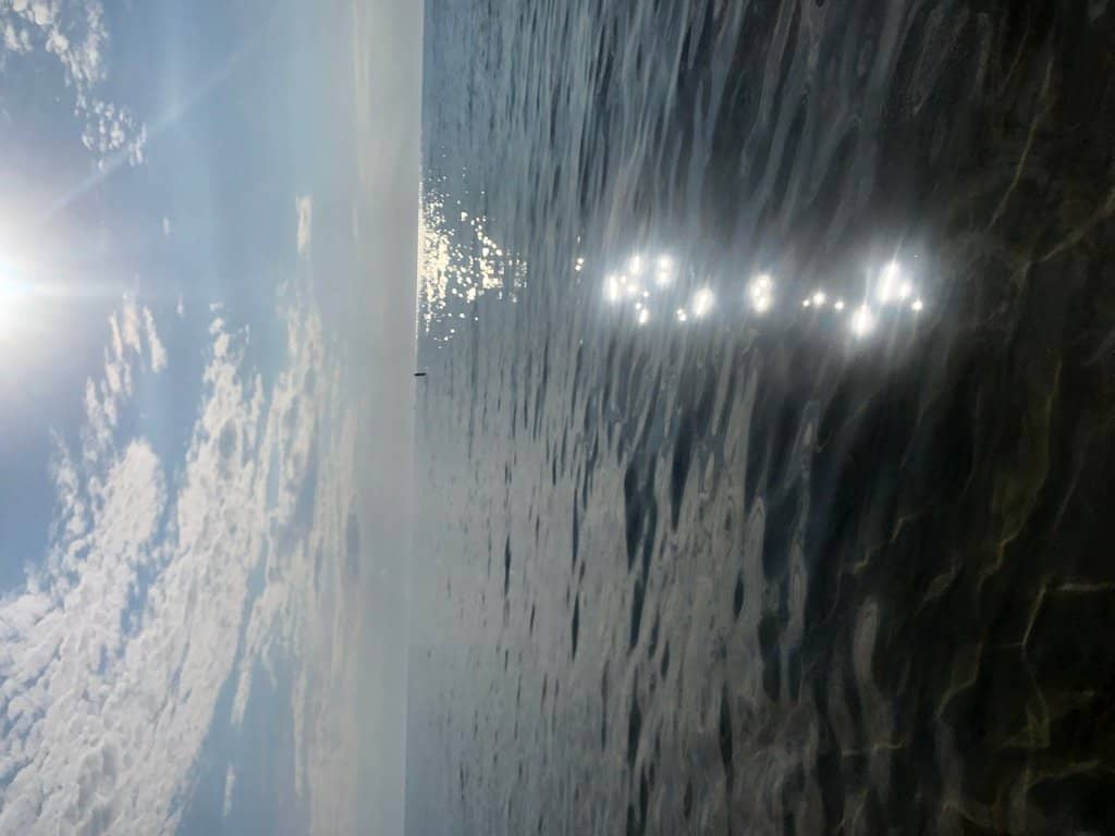 Lighthouse Views