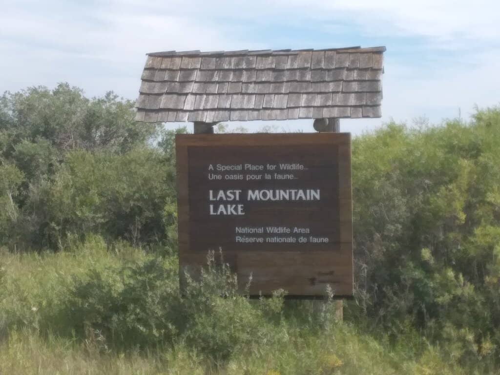 Wildlife Viewing