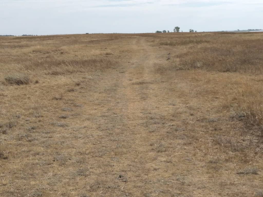 Prairie Trails