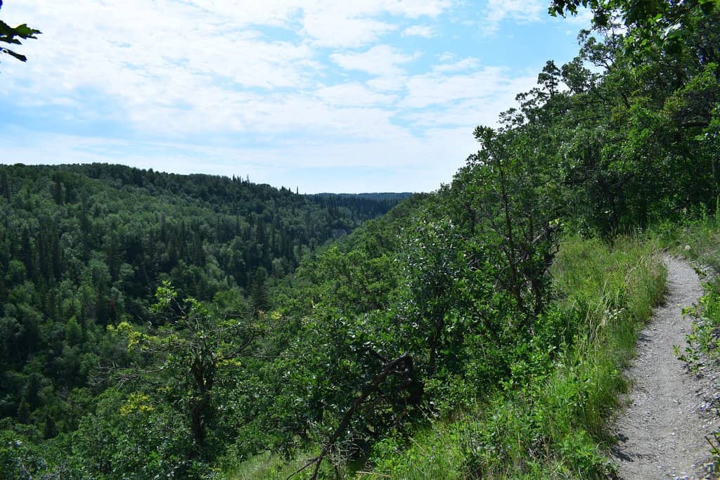 Bald Hills Summit