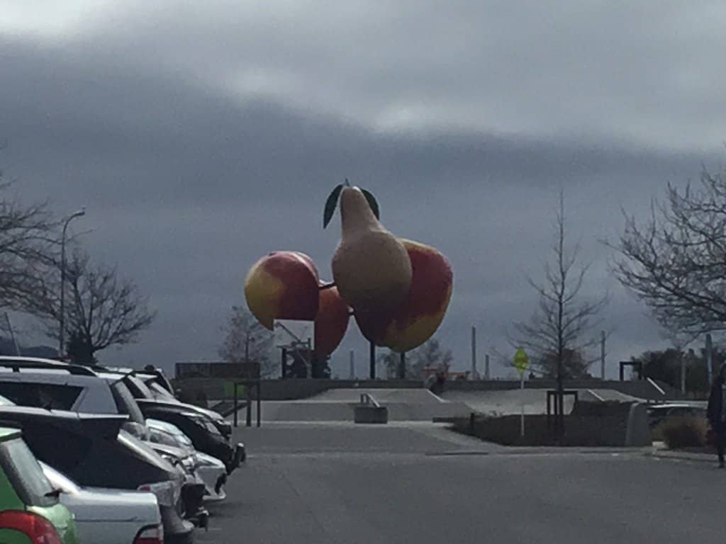 Local Dining Options