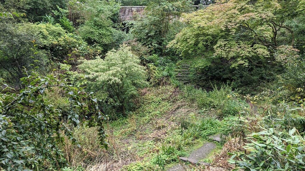 Vertical photo