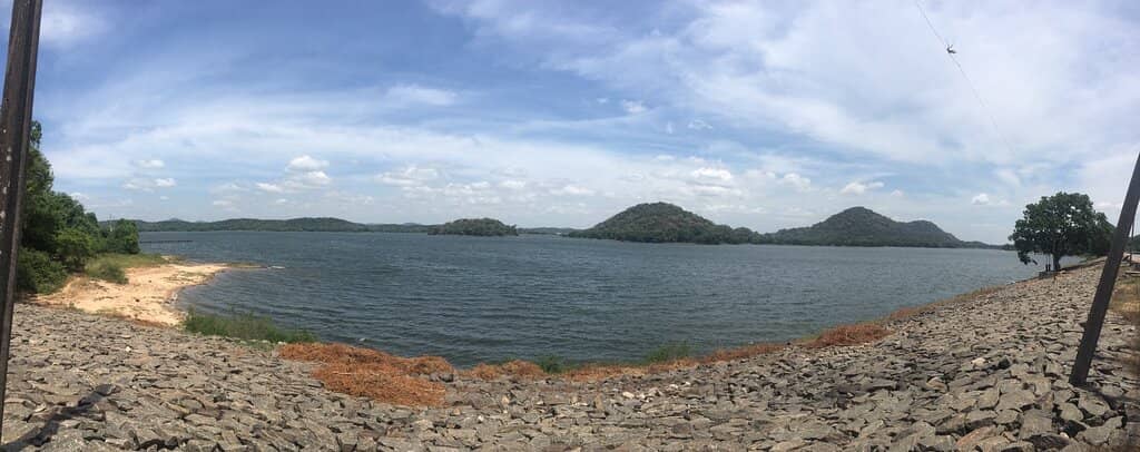 The Giant Buddha Statue
