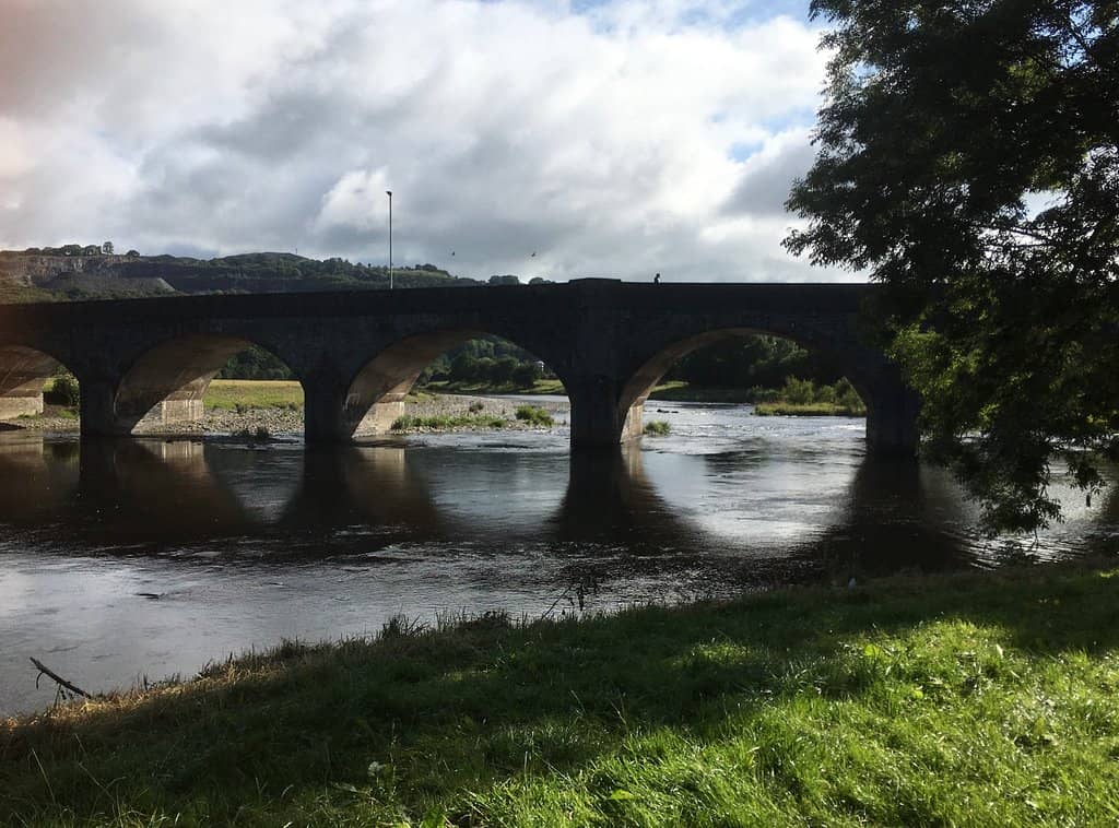 Forest of Dean Trails
