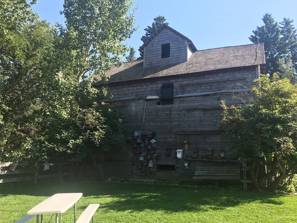 Birdhouse Building & Painting