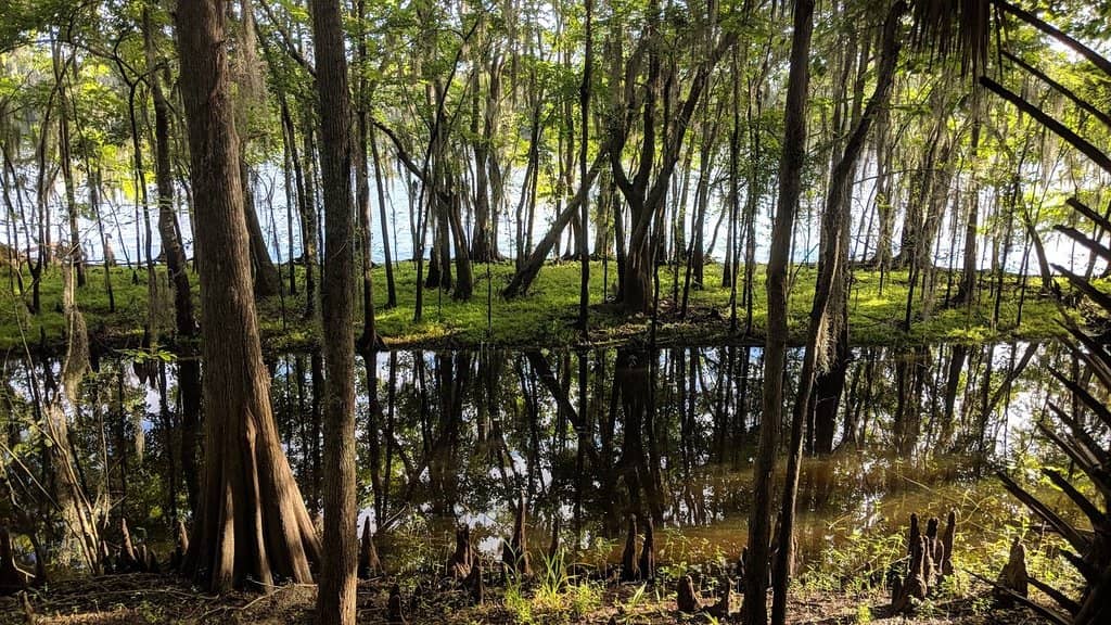 Lake Sylvan