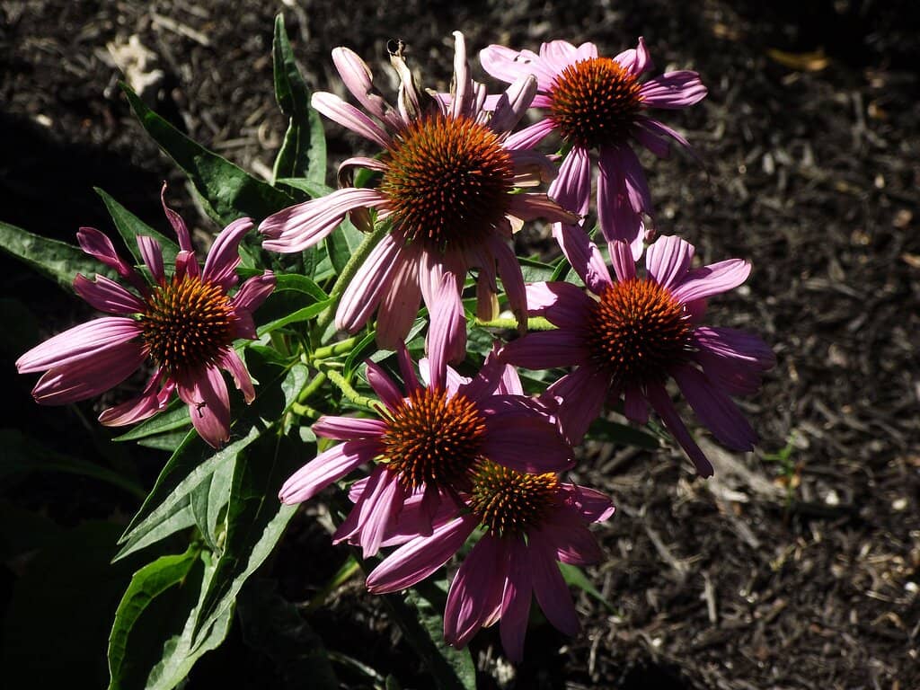 Changing Art Exhibits