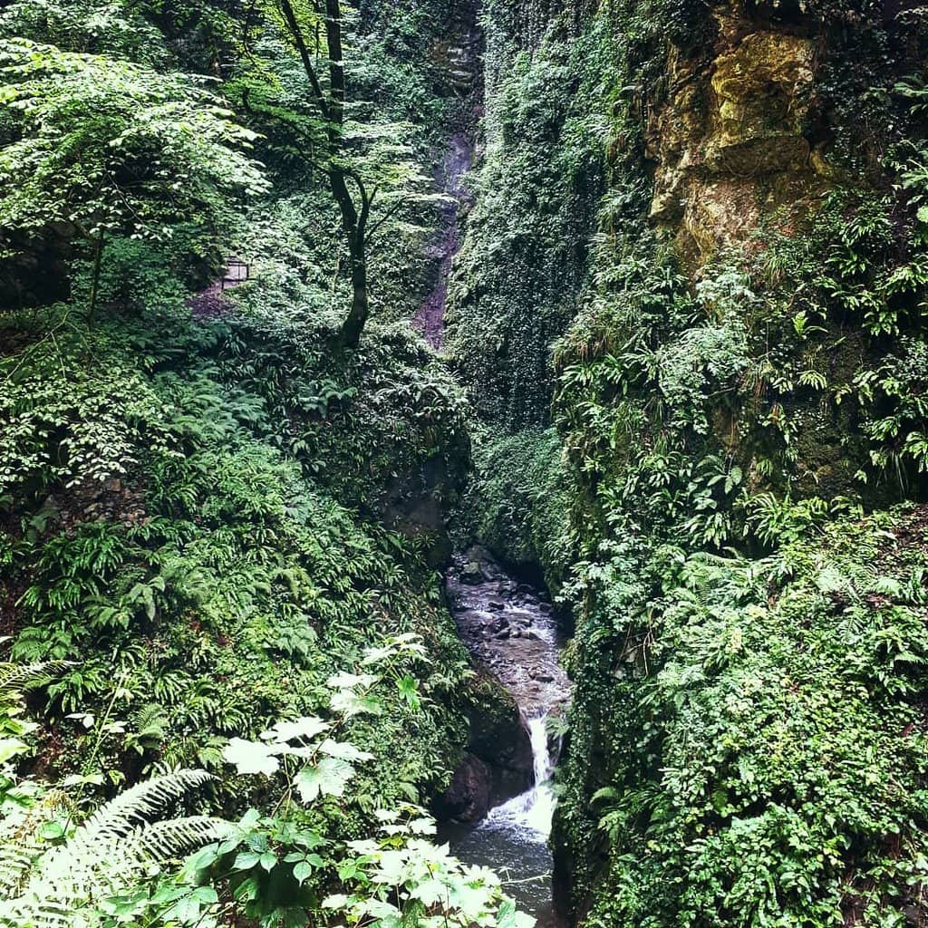 Waterfalls and Streams