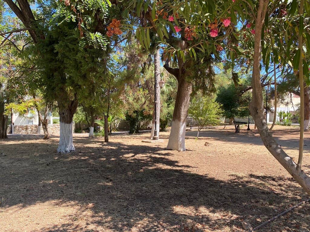 Mountain Village Charm