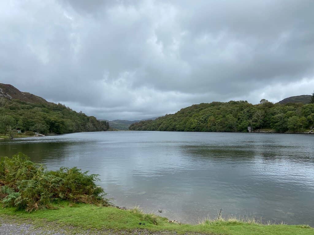 Llyn Cynwch Lake