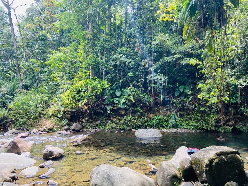 Natural Swimming Pool