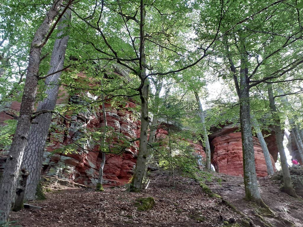 Altschlosspfad Loop
