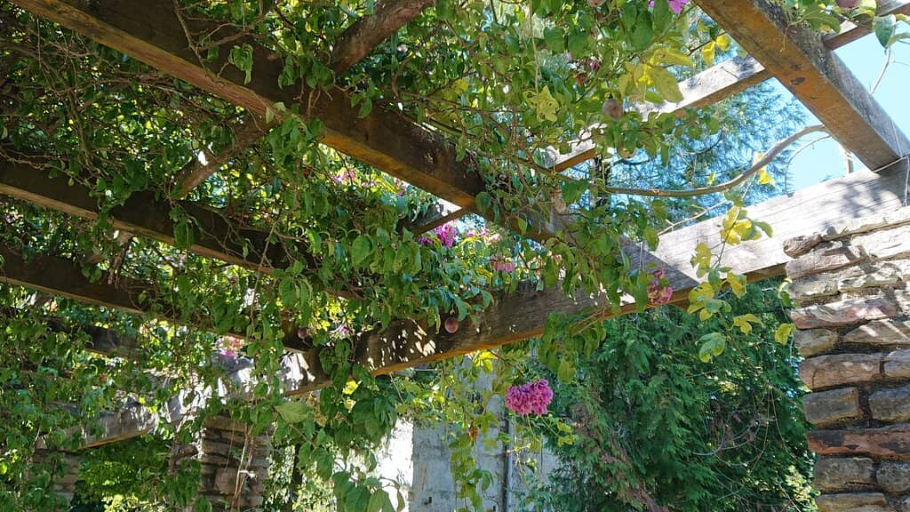 Vertical photo