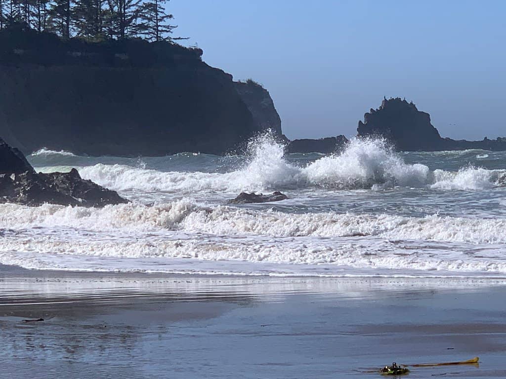 Dog-Friendly Beach Walks