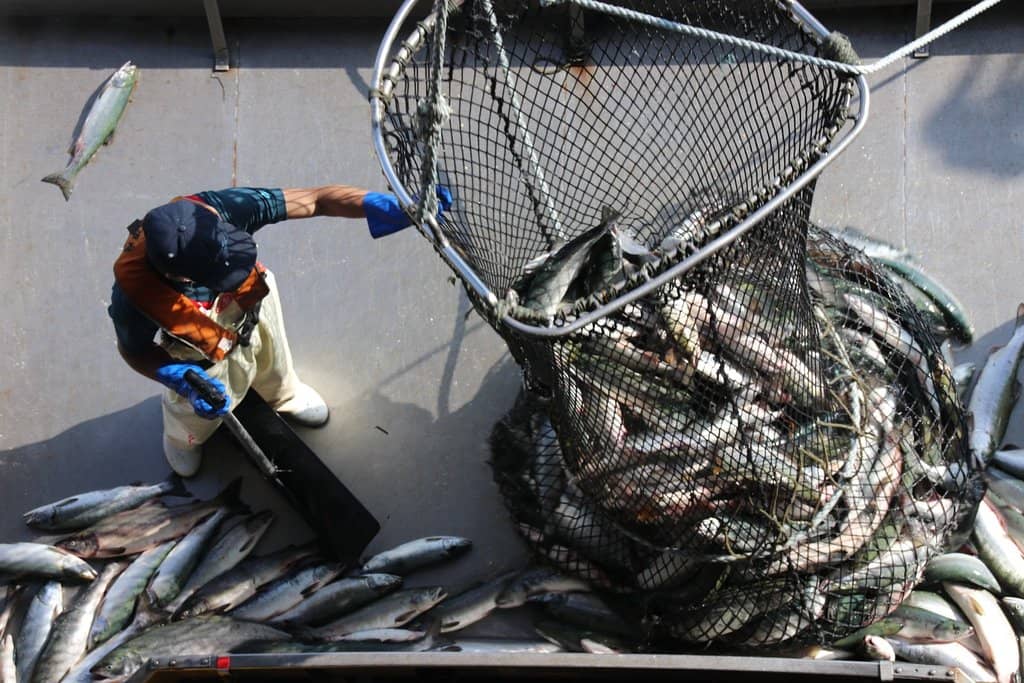 Utoro Fishing Port