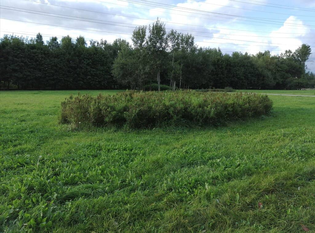 Beach Volleyball Courts