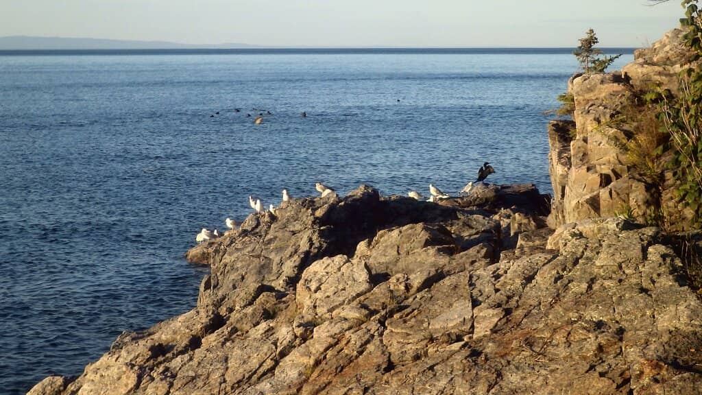 Scenic Riverfront Walk
