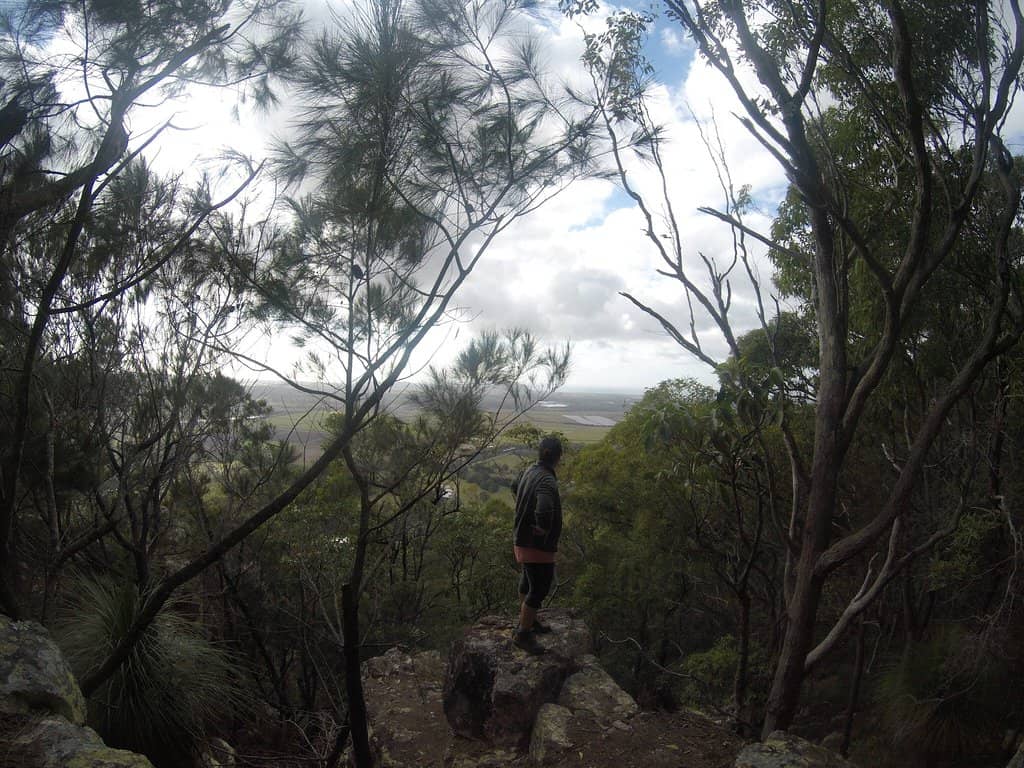 Dog-Friendly Trail