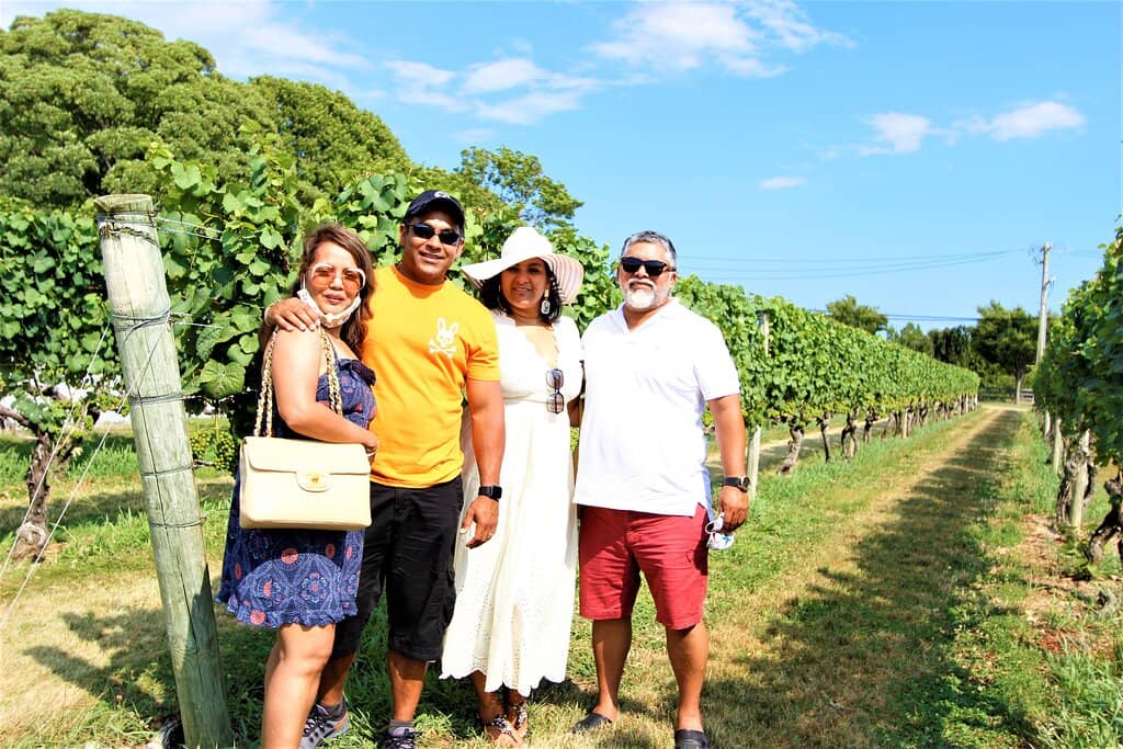 Vineyard Views