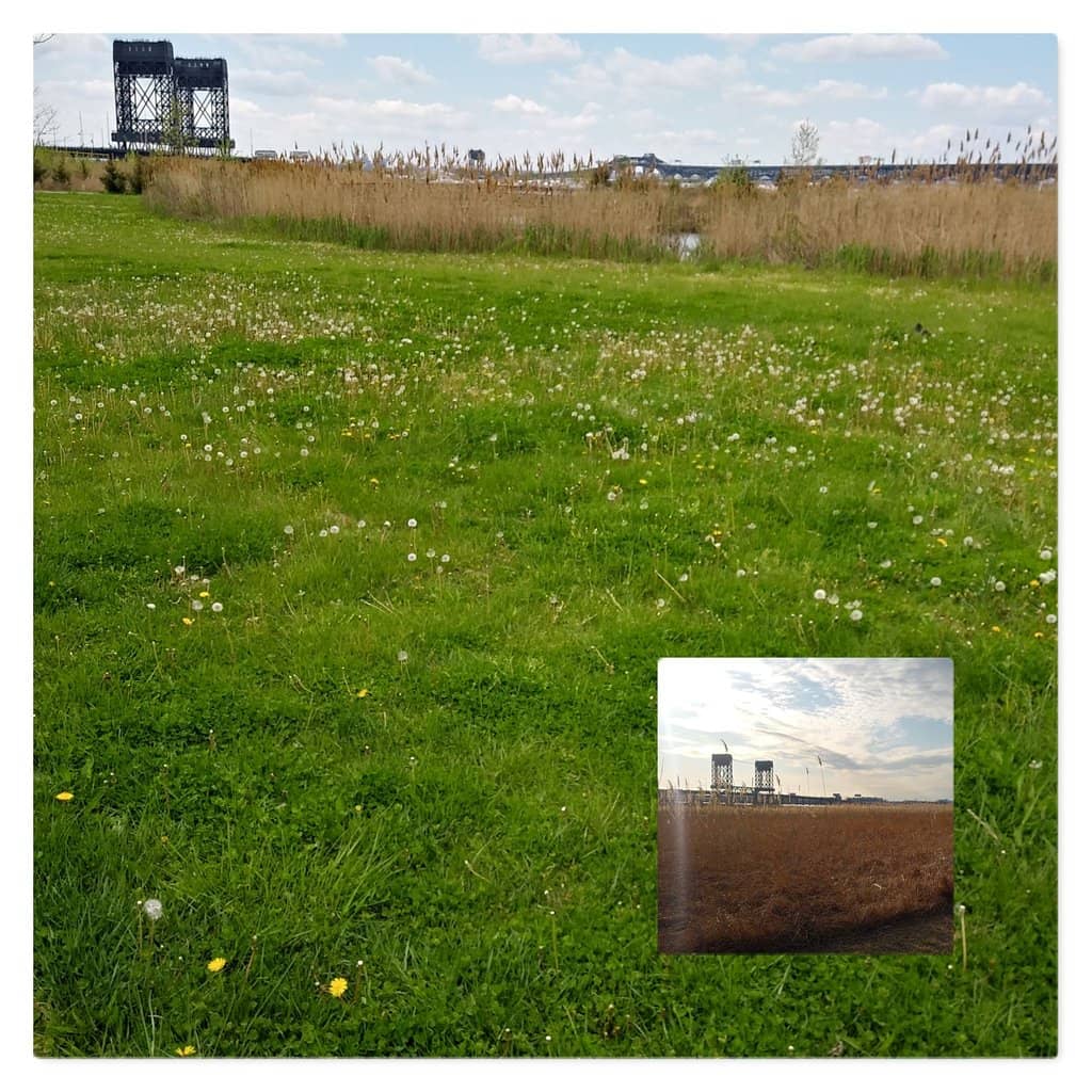 Sports Facilities Galore