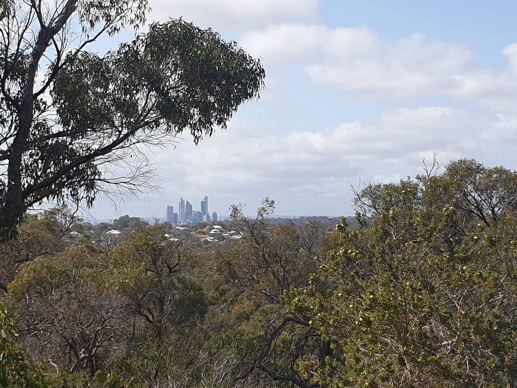 Reabold Hill Lookout