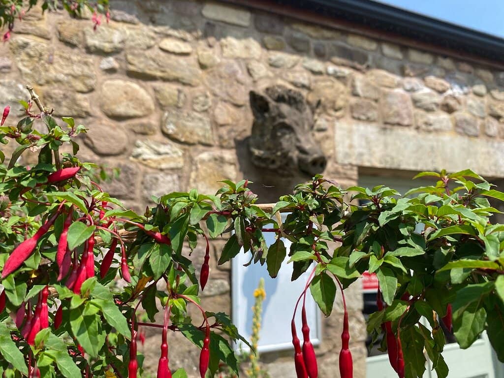 Adventure Play Areas