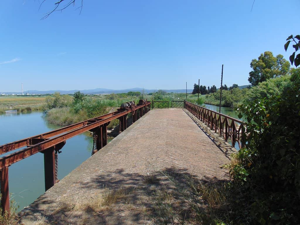 Naturalistic Oasis Walk