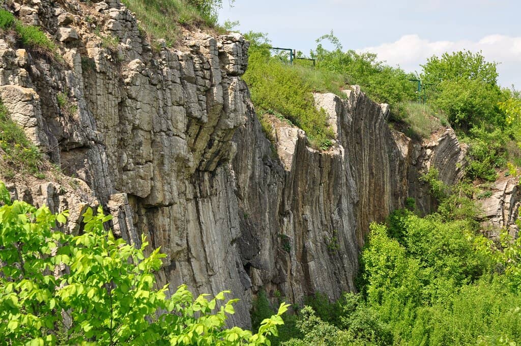 Highlights