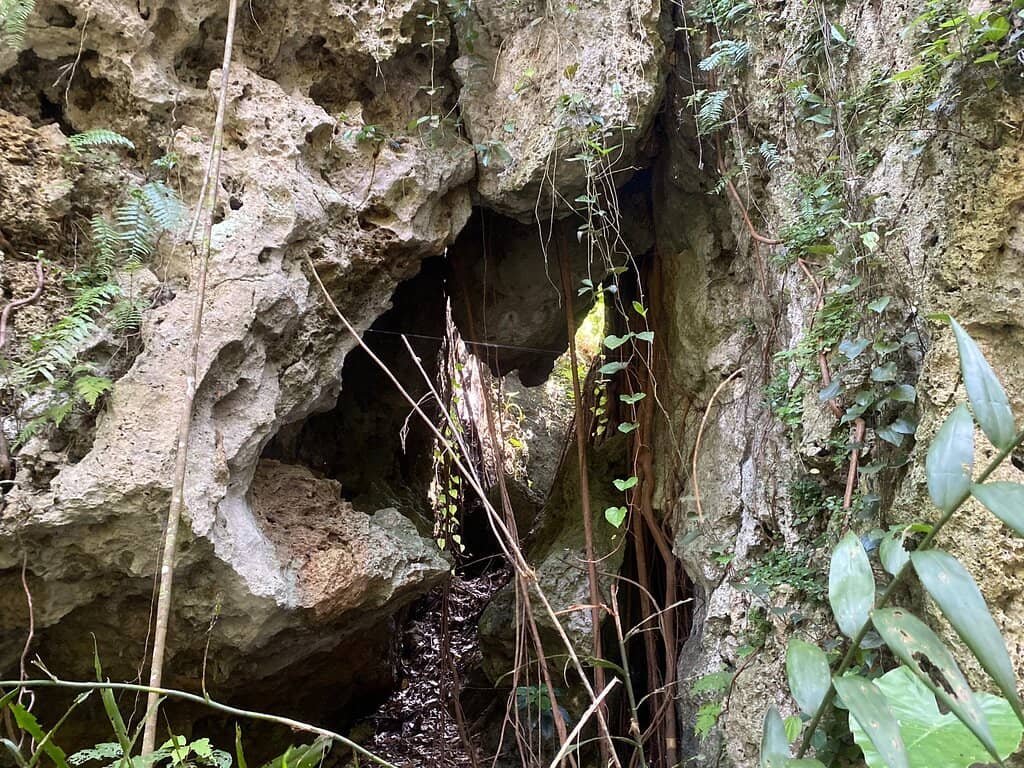 Panoramic Ocean Views