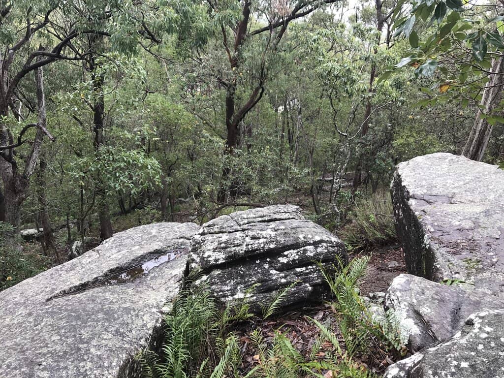 Extensive Bushwalking Tracks