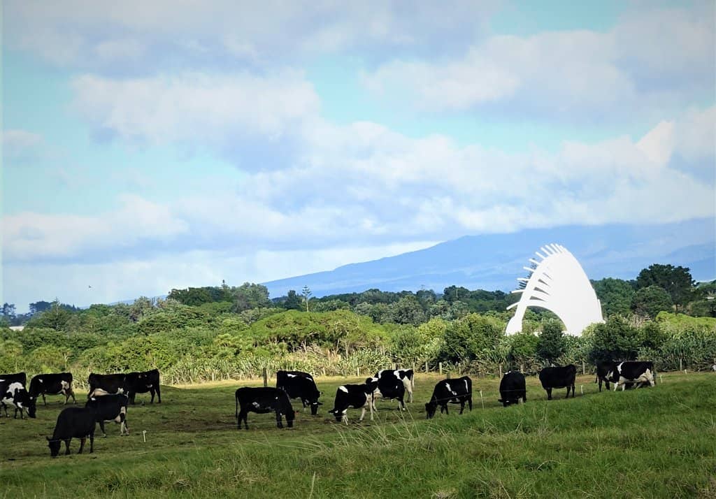 Destination Kāwaroa