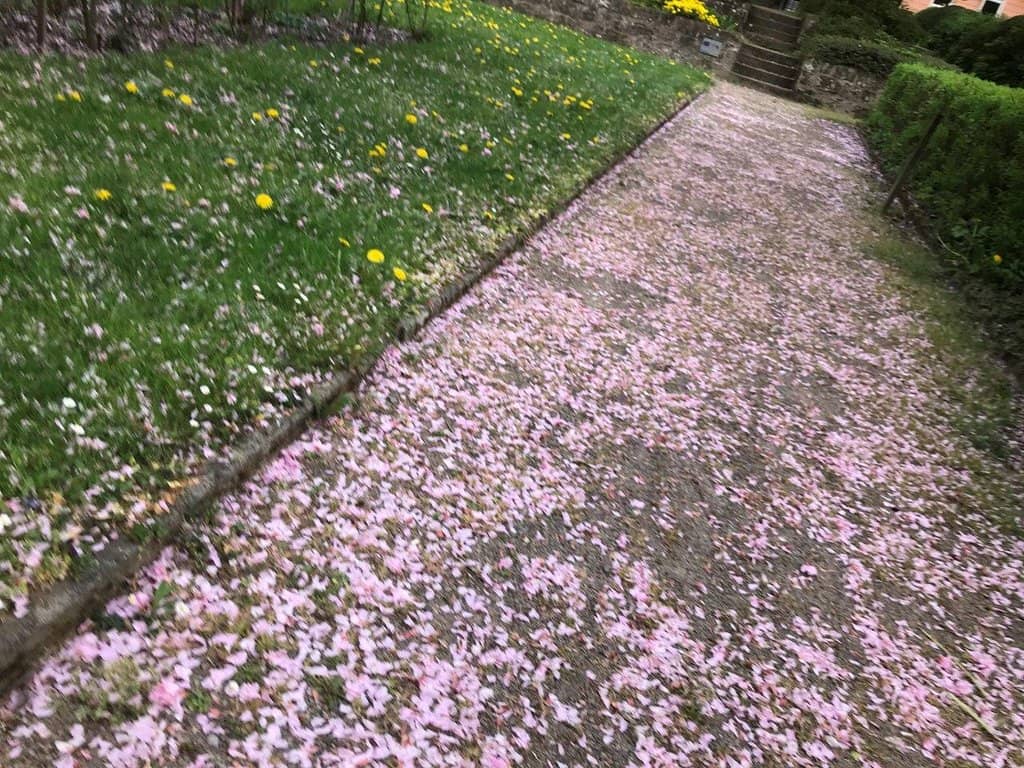 Manicured Gardens