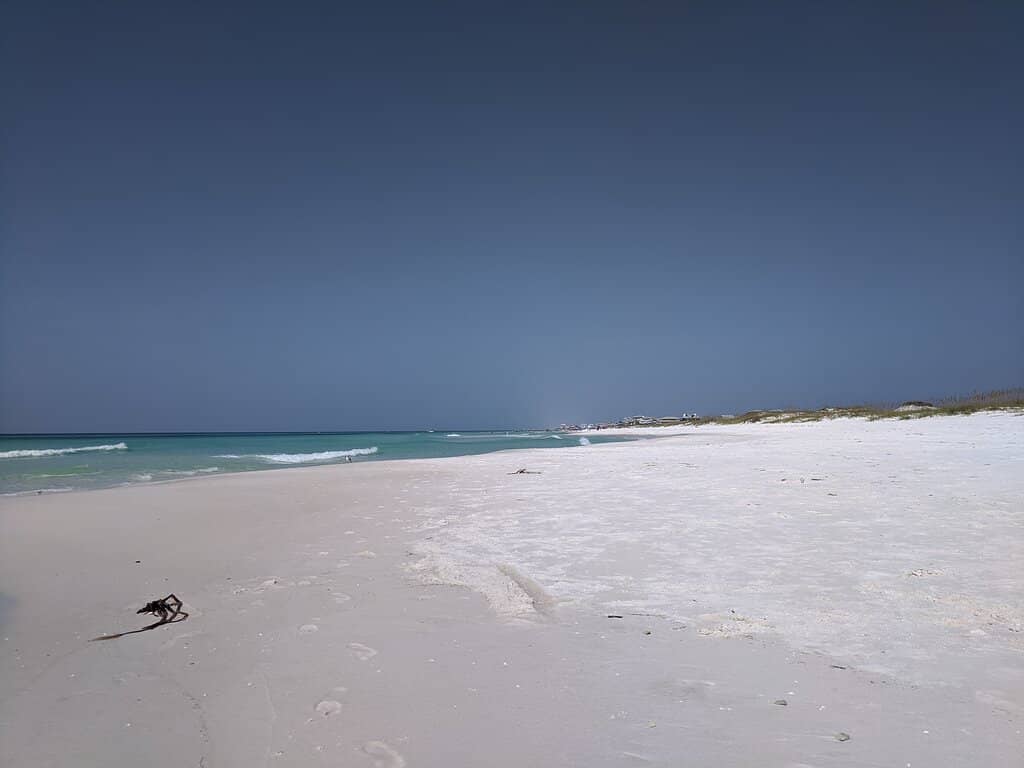 Underwater Museum of Art (UMA)